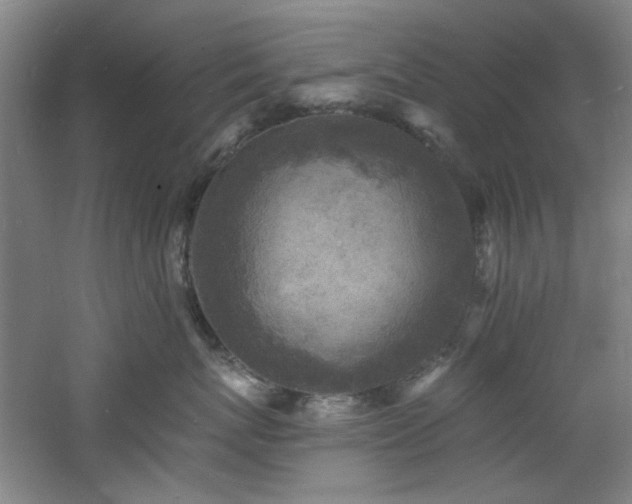 X0000060790767200511101418