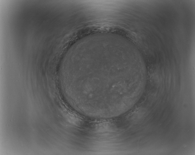 X0000060790769200511101417