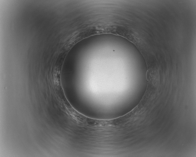 X0000060790770200511101417