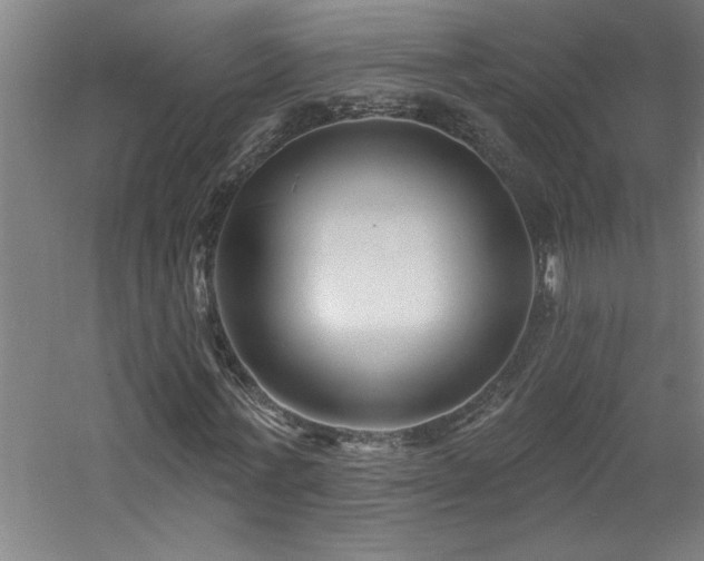 X0000060790771200511101417