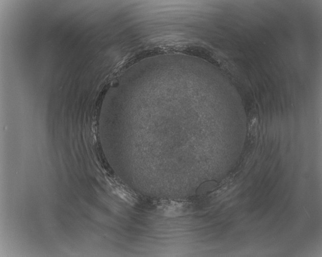 X0000060790772200511101417