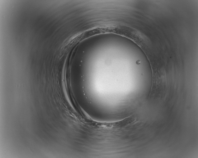 X0000060790773200511101417