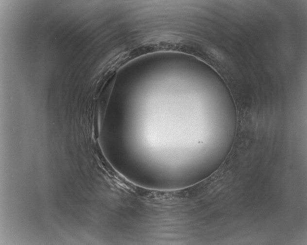 X0000060790774200511101417