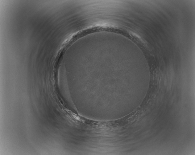 X0000060790776200511101417