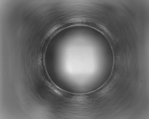 X0000060790778200511101417