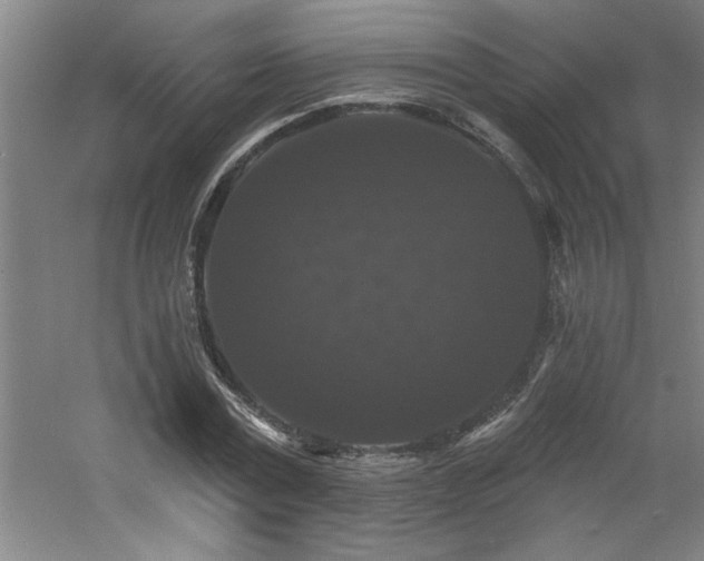 X0000060790779200511101417