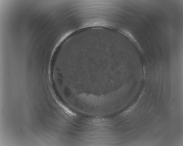 X0000060790780200511101417