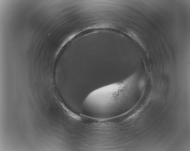 X0000060790781200511101417