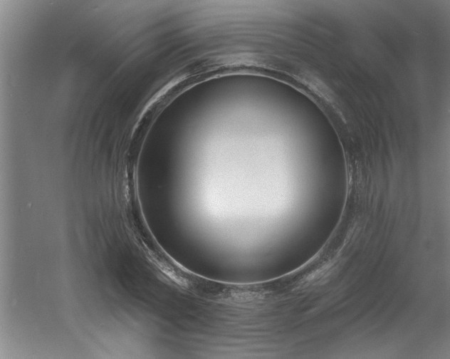 X0000060790782200511101417