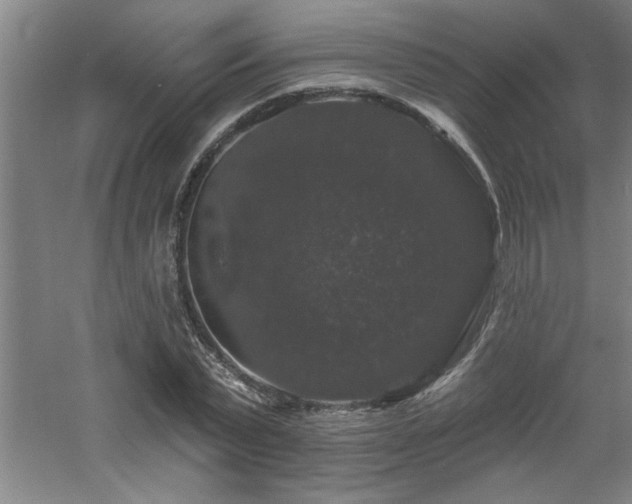 X0000060790783200511101417