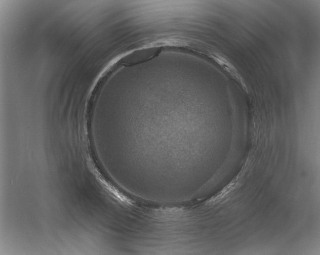 X0000060790784200511101417