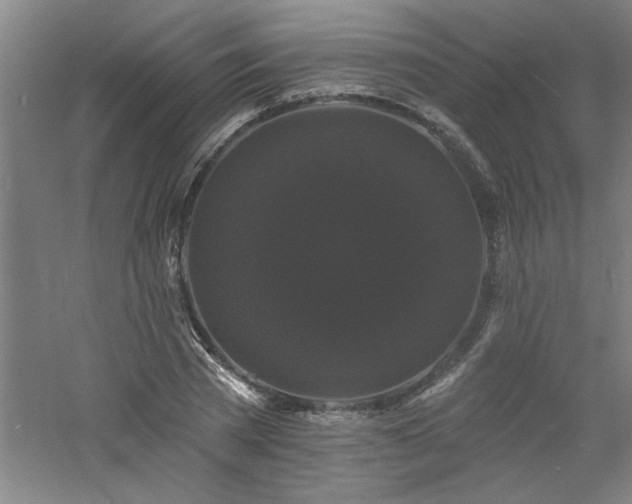 X0000060790785200511101417