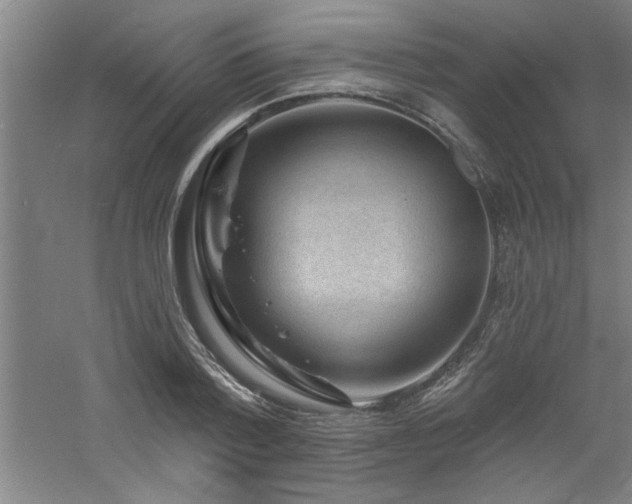 X0000060790788200511101417