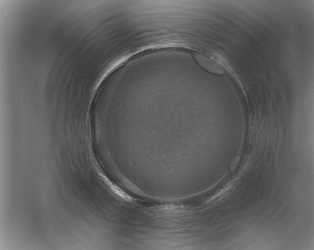 X0000060790789200511101417