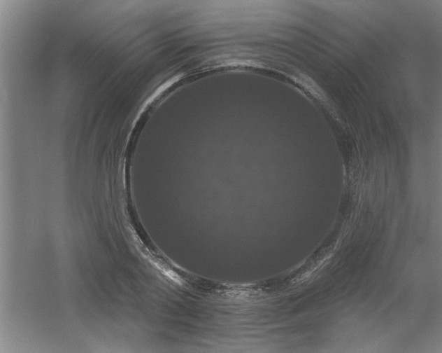 X0000060790790200511101417