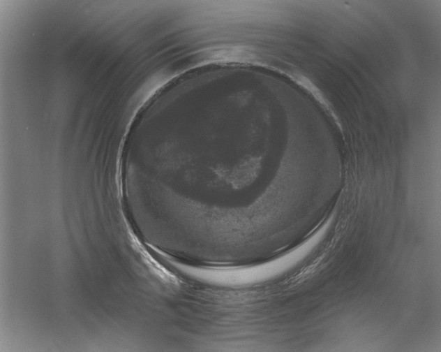 X0000060790791200511101417