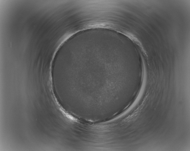 X0000060790792200511101417