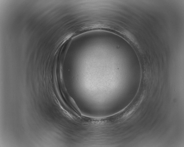 X0000060790793200511101417