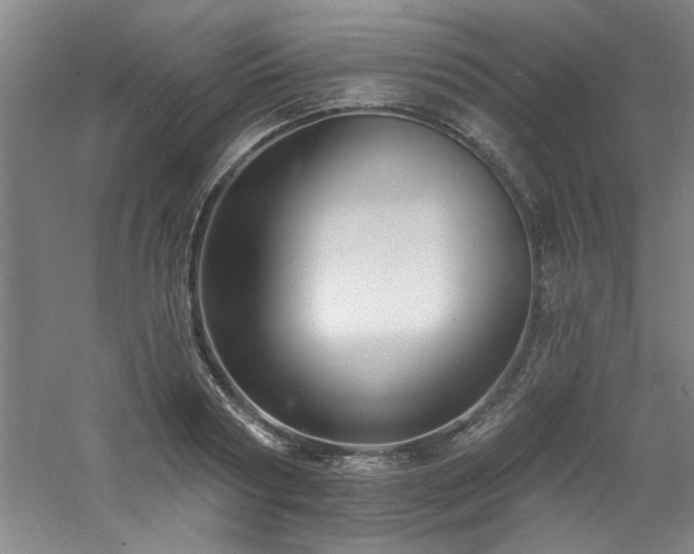 X0000060790794200511101417