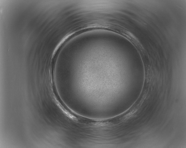 X0000060790796200511101417