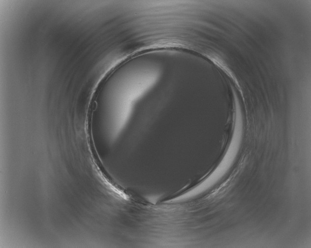 X0000060790797200511101417