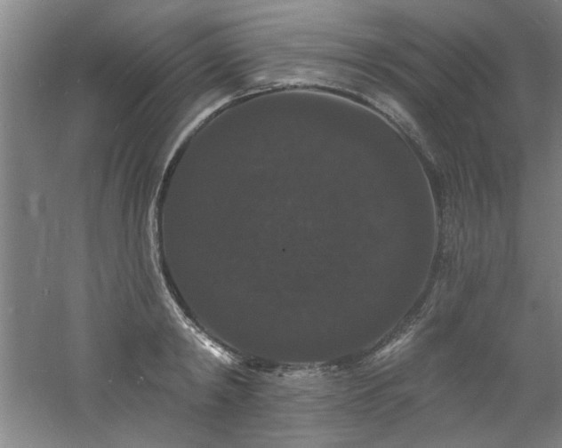 X0000060790798200511101417