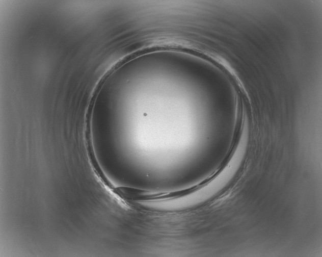 X0000060790799200511101417