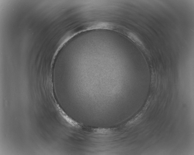 X0000060790800200511101417