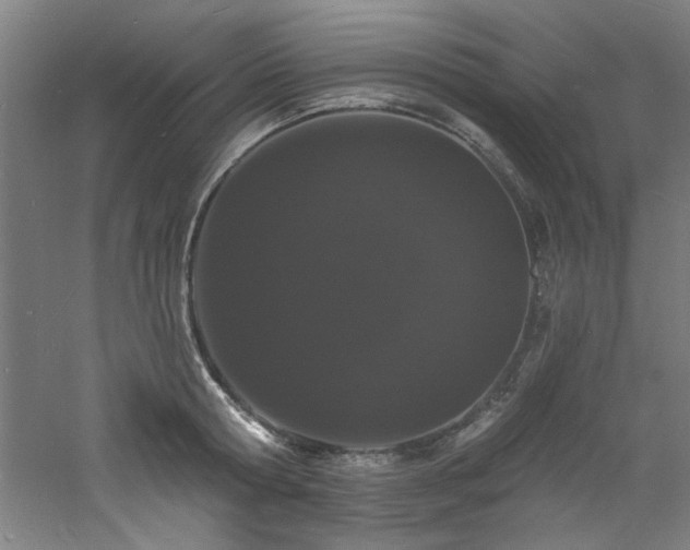 X0000060790802200511101417