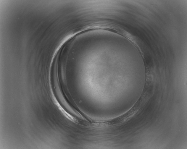 X0000060790803200511101417