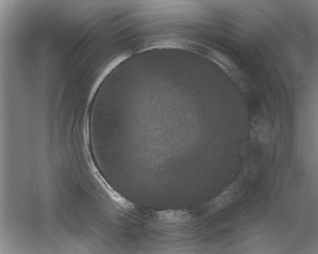 X0000060790804200511101417