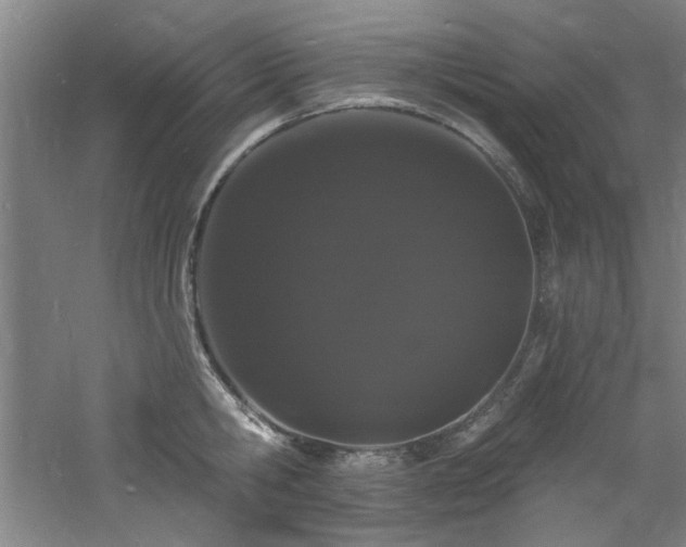 X0000060790806200511101417