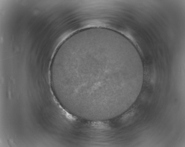 X0000060790807200511101417