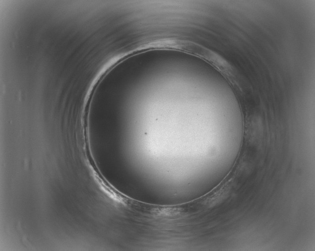 X0000060790808200511101417