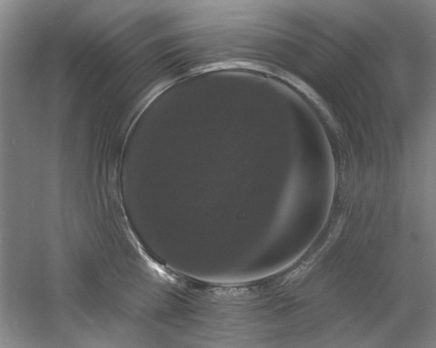 X0000060790809200511101417