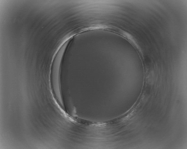 X0000060790810200511101417