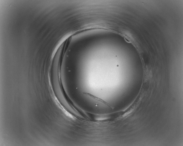 X0000060790812200511101417