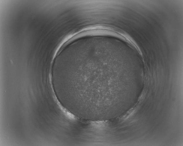 X0000060790813200511101417