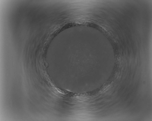 X0000060790817200511101416