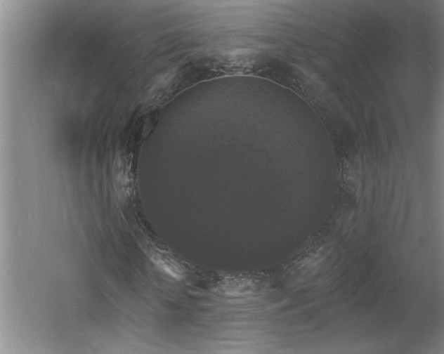 X0000060790818200511101416