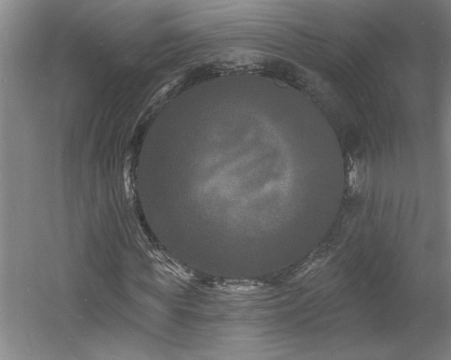 X0000060790819200511101416