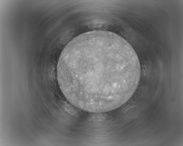 X0000060790820200511101416