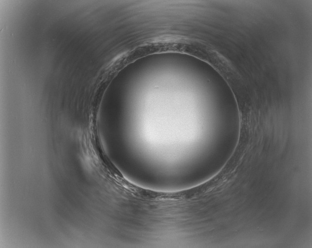 X0000060790821200511101416