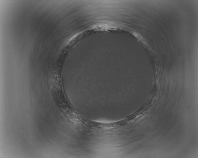 X0000060790822200511101416