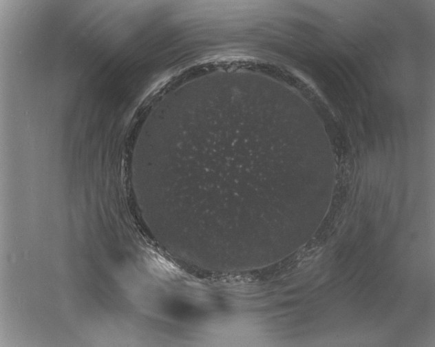 X0000060790823200511101416