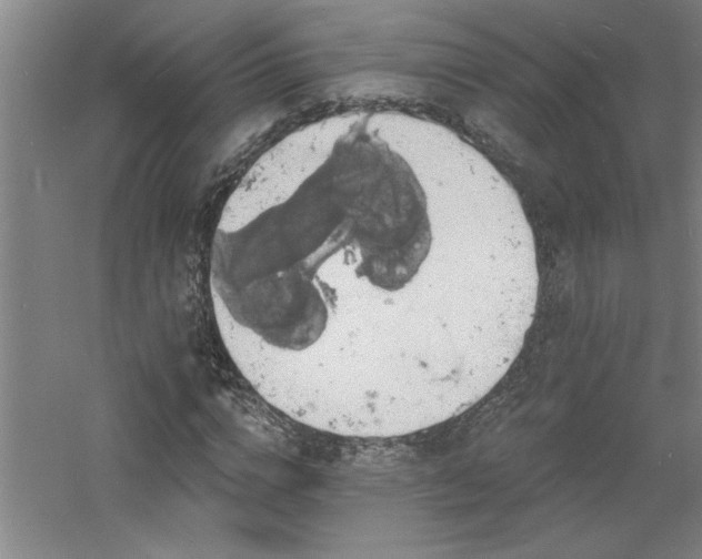 X0000060790824200511101416