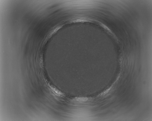 X0000060790825200511101416