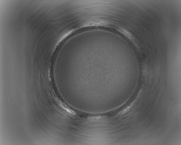 X0000060790826200511101416