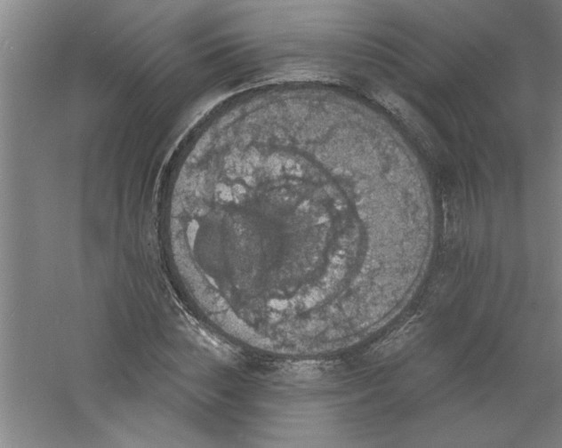 X0000060790828200511101416