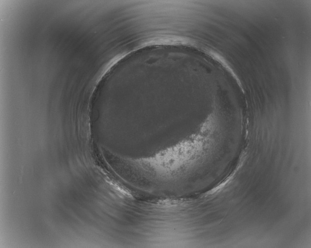 X0000060790829200511101416